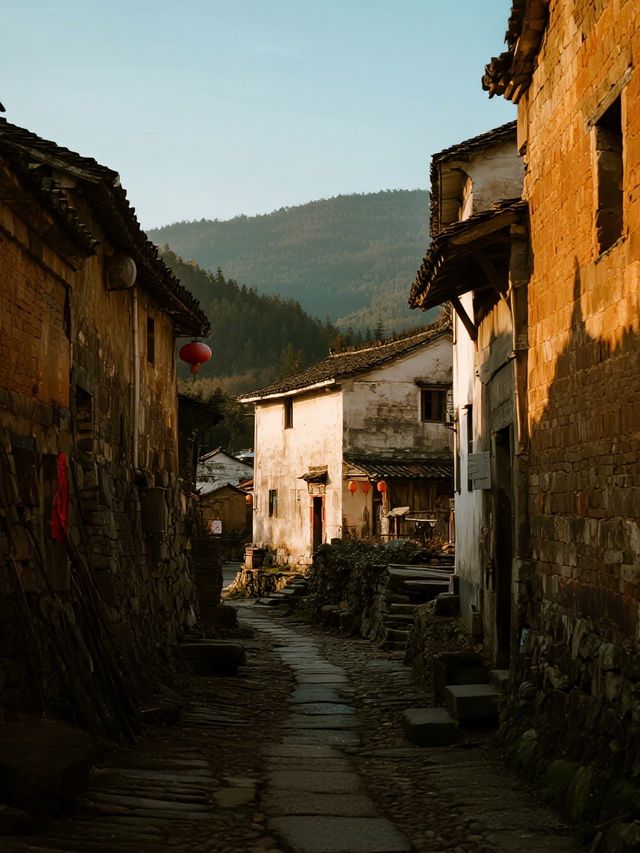 千年古道親子行!箬嶺古道秋日徒步,帶娃賞皖南彩林 千年古道親子行!箬嶺古道秋日徒步,帶娃賞皖南彩林