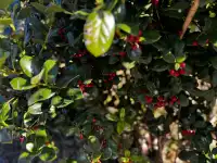 神仙谷隱藏玩法大公開！極限蹦極+深山尋寶