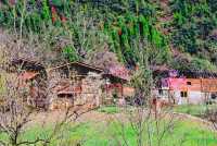 雲南怒江-霧裡村