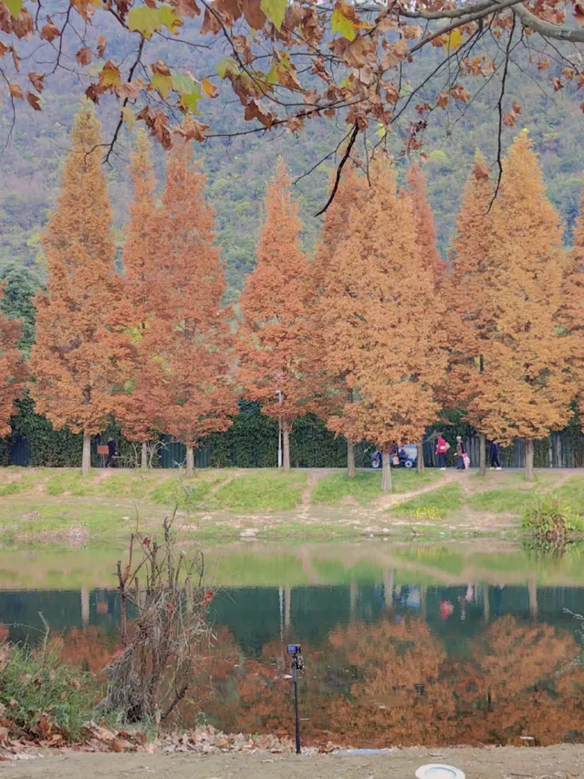 貴陽初冬·唯一想去無數次的公園