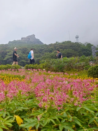 Lingnan's Number One Mountain — Are You Brave Enough to Challenge Huizhou Luofu Mountain? 