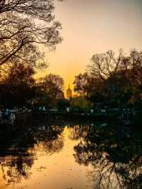 蘇州園林秋景美如畫一秒穿越古代當住園主人