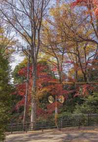 大山崎山莊美術館