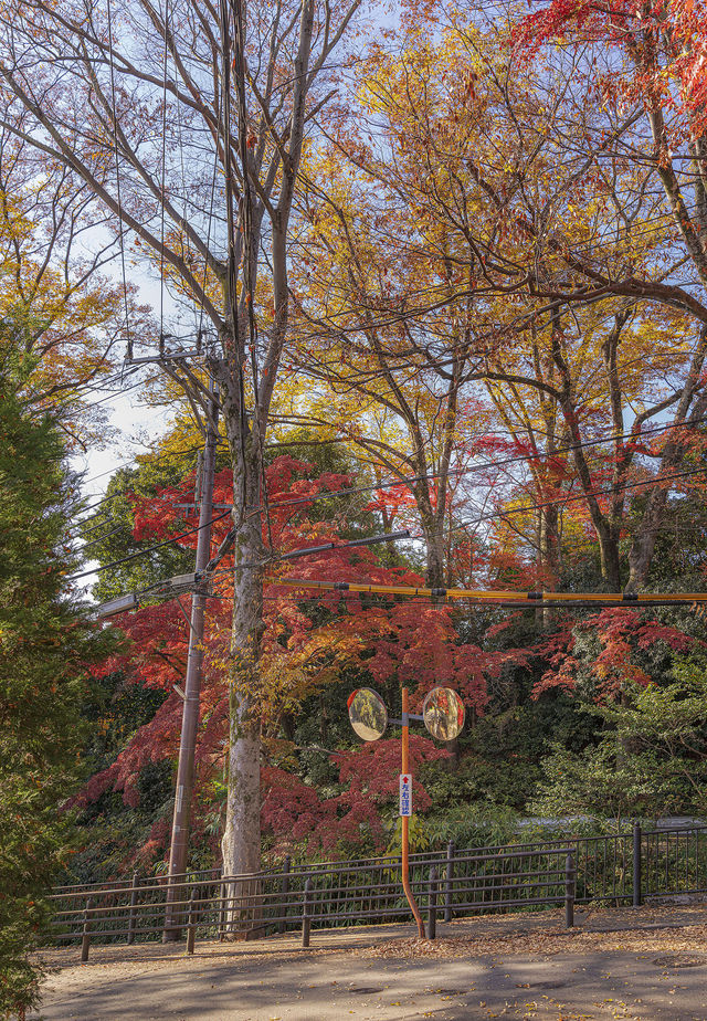 大山崎山莊美術館