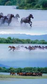 天馬浴河觀景全攻略