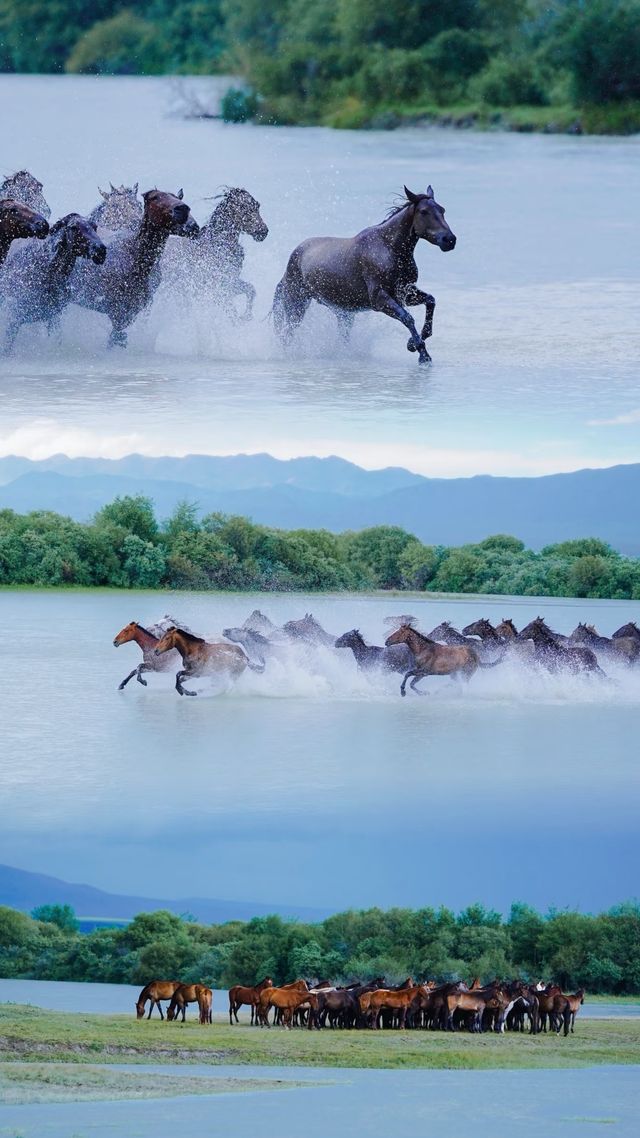 天馬浴河觀景全攻略 天馬浴河觀景全攻略