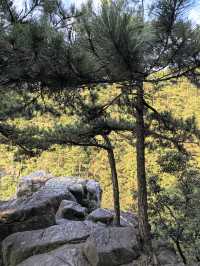 無限風光在險峰！