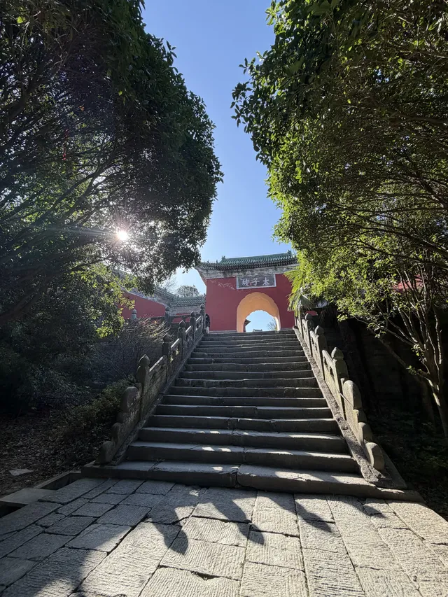 爬武當山已回/現在的腿已經不是自己的腿