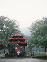 武夷山週末遊|兩日一晚吸氧飲茶計劃🫖