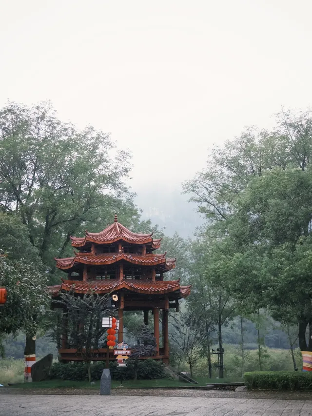 武夷山週末遊|兩日一晚吸氧飲茶計劃🫖 武夷山週末遊|兩日一晚吸氧飲茶計劃🫖