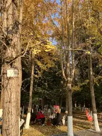 德陽｜石刻公園