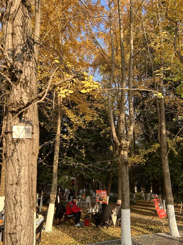 德陽｜石刻公園