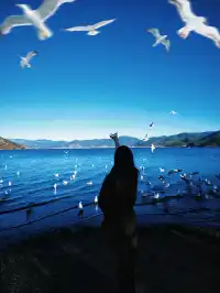 瀘沽湖可真是太好拍了！！