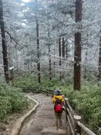 12.4實拍峨眉山的霧淞美瘋了