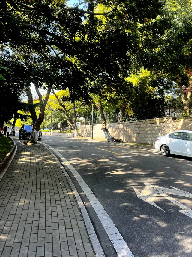 漫遊QingDao|青島八大關 漫遊QingDao|青島八大關