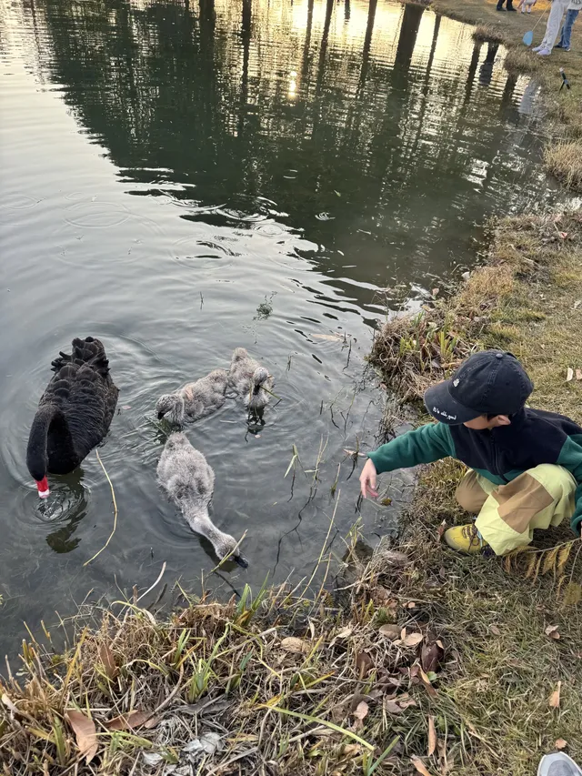 上海辰山植物園|去過超十次,還是想去! 上海辰山植物園|去過超十次,還是想去!