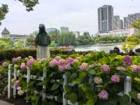 五月必刷南京繡球公園花開成海 美到犯規