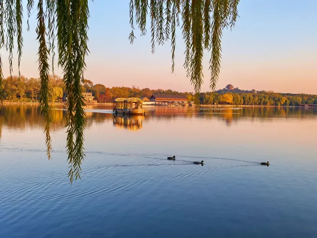 銀杏飄落是獨屬於北京的浪漫