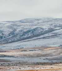 自駕川西一場大雪,川西有了冬日氛圍