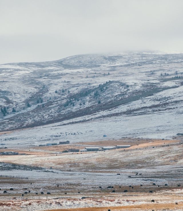 自駕川西一場大雪,川西有了冬日氛圍 自駕川西一場大雪,川西有了冬日氛圍