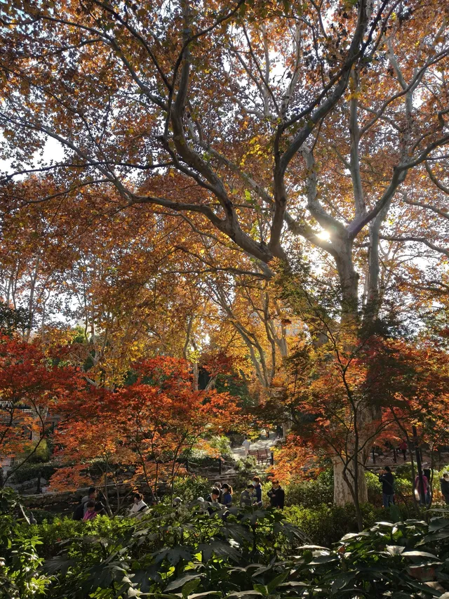 12.3魯迅公園秋日進度100％（附機位）