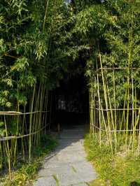 西安博物院覓幽靜