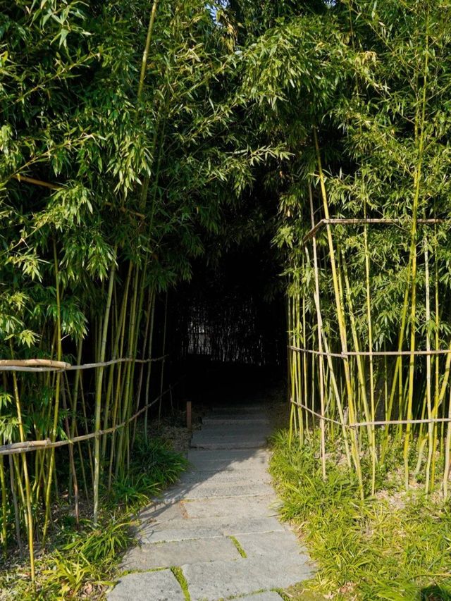 西安博物院覓幽靜