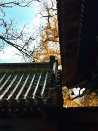 河南|嵩山少林寺