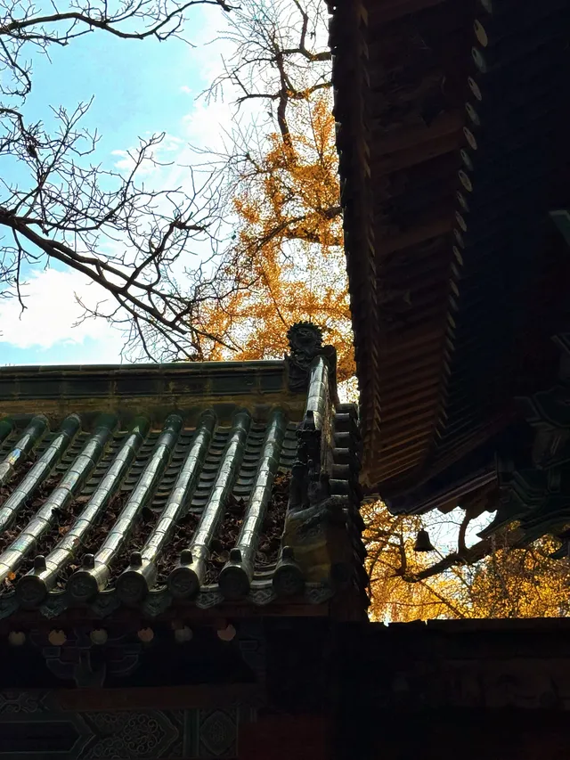 河南|嵩山少林寺 河南|嵩山少林寺