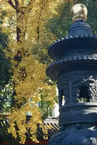 12.6 湖州秋景city walk路線