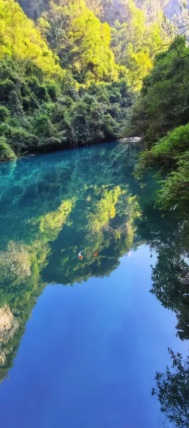 Babies, this really isn’t Jiuzhaigou