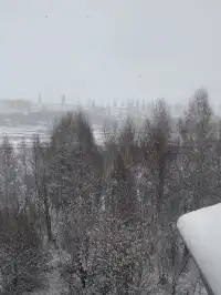 在阿勒泰禾木村,一家超驚喜(Surprise)酒店