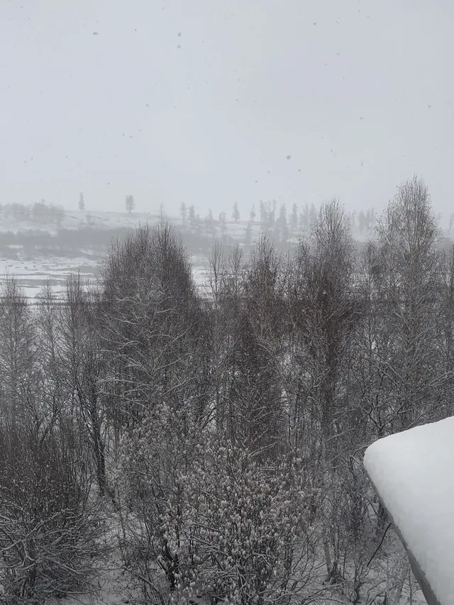 在阿勒泰禾木村,一家超驚喜(Surprise)酒店 在阿勒泰禾木村,一家超驚喜(Surprise)酒店