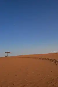 【冬季寧夏】銀川中衛