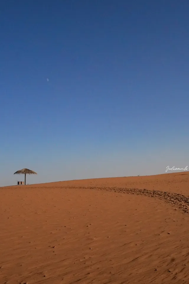 【冬季寧夏】銀川中衛 【冬季寧夏】銀川中衛