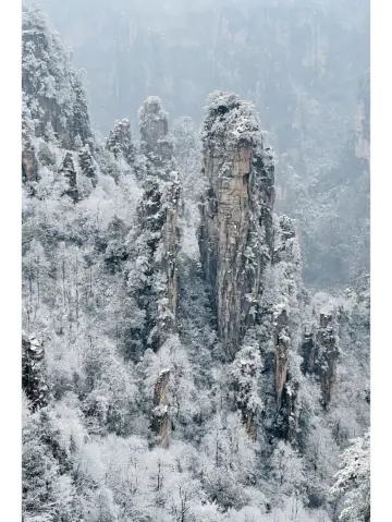 장가계 렌터카 여행 베이비시터급 가이드 빠르게 저장하세요