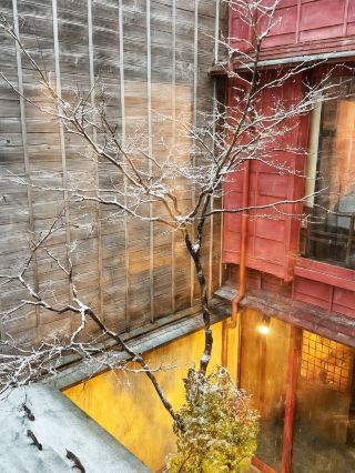 คู่มือการดูแลเด็กในญี่ปุ่น 8 วันสำหรับทริปเที่ยวกับเด็กๆ - บันทึกคู่มือนี้ไว้!