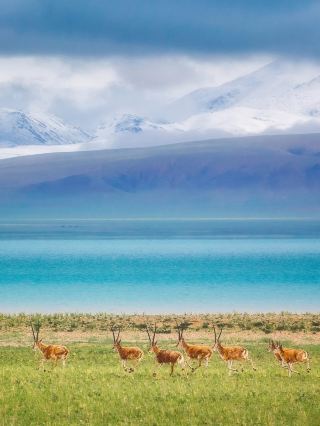 Qinghai-Gansu 7-Day In-Depth Guide Recommended by Locals