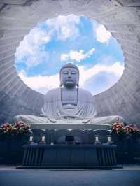 5日玩轉日本保姆級攻略快碼住
