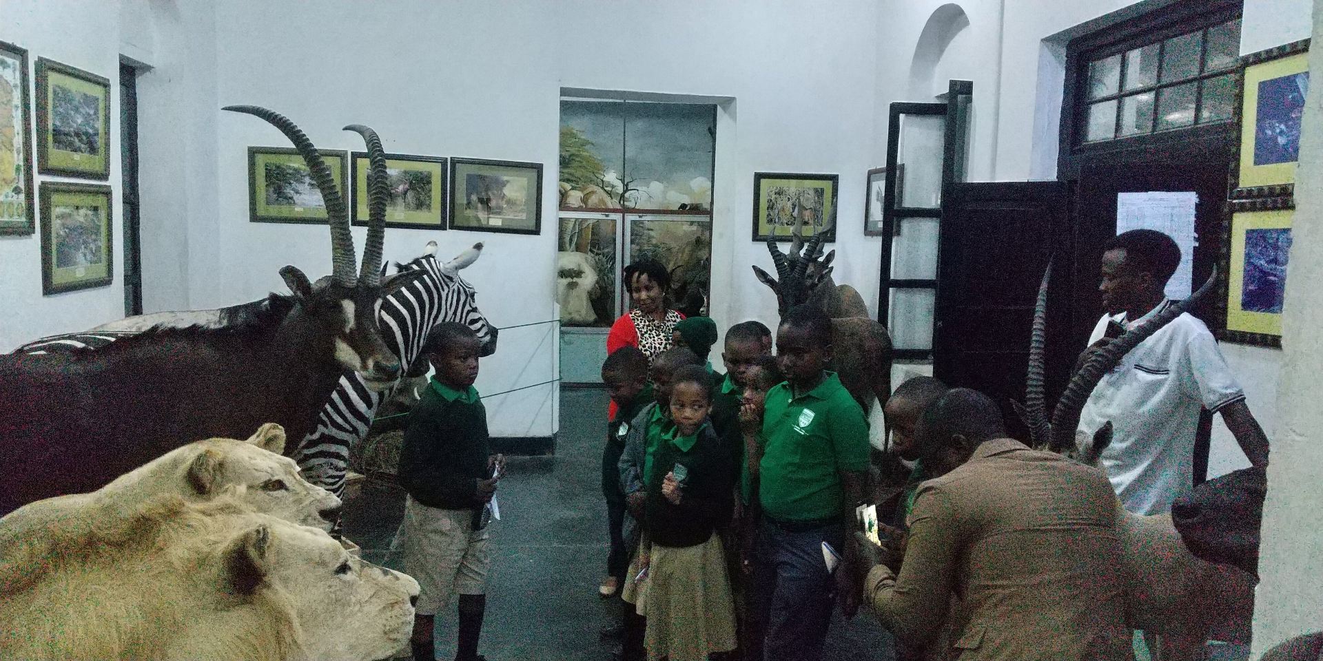 Engaging and Educational Visit to Arusha's Natural History Museum