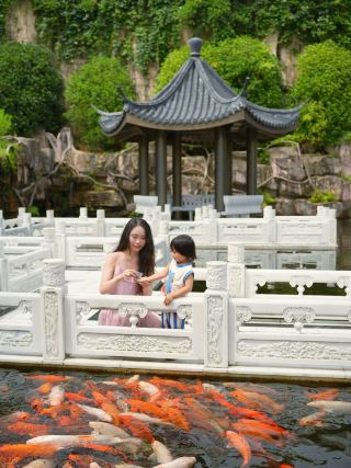 After the Viral Hit *Niu Lai*, Escape the Jiangsu-Zhejiang-Shanghai Grind and Unwind at Qiandao Lake.