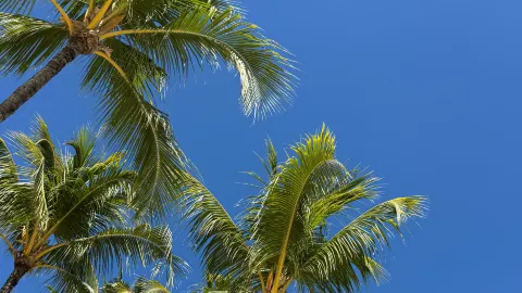 Pengalaman Menginap Mewah yang Sempurna di Hotel Butik di Mauritius — traveler post in Parma