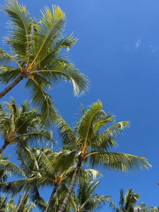 Perfect Luxury Stay at a Boutique Hotel in Mauritius