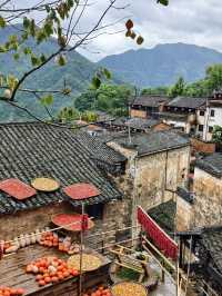 暑期適合老友去的九江-景德鎮-上饒攻略