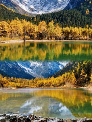 6-Day Western Sichuan Golden Autumn Loop | Chase the 30-Day Limited-Time Colorful Forest
