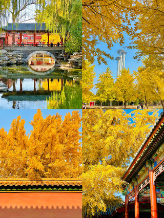 Beijing is beautiful | But I don't recommend going in October–November! Because it's just too...