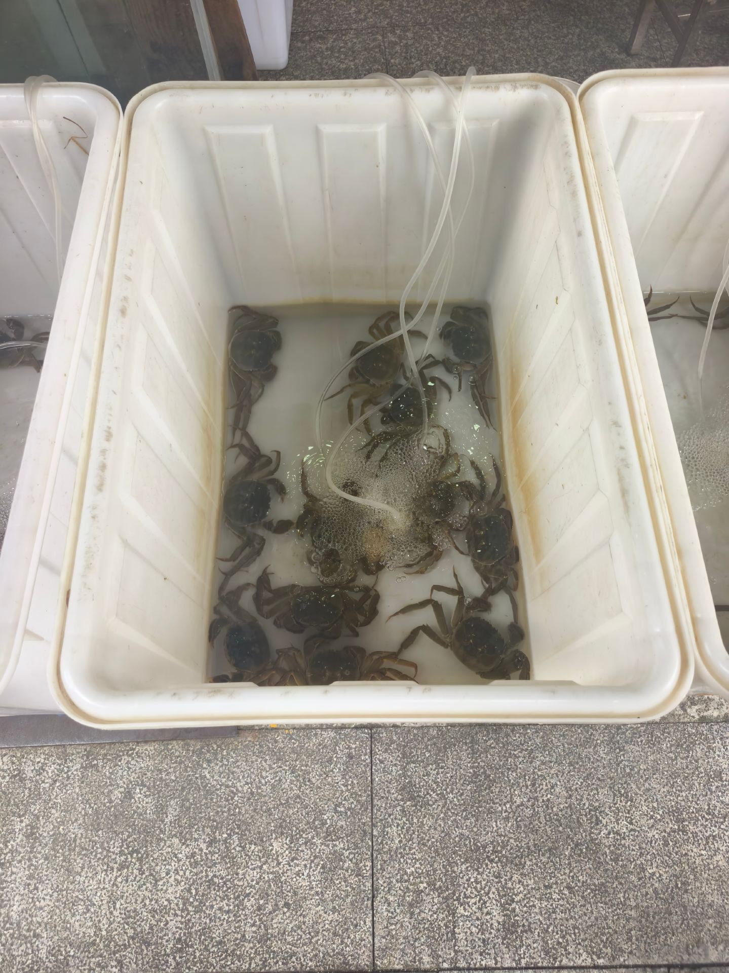 [Ultimate Guide! Weekend Trip to Taizhou: Try Qinhu Mitten Crabs and Explore a Thousand-Year-Old Town!]  Hey everyone! This weekend, I'm taking you all on a trip to
