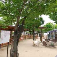 おとぎの国？野生動物を見た人間の感想がだいたい「美味しそう」