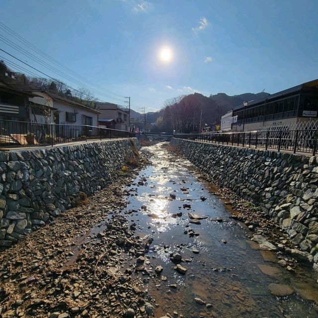 【絶景】高尾山から眺む。八王子市