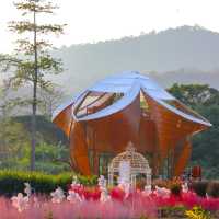 Bliss & Bloom cafe คาเฟ่ดีไซน์สวย กลางทุ่งดอกไม้
